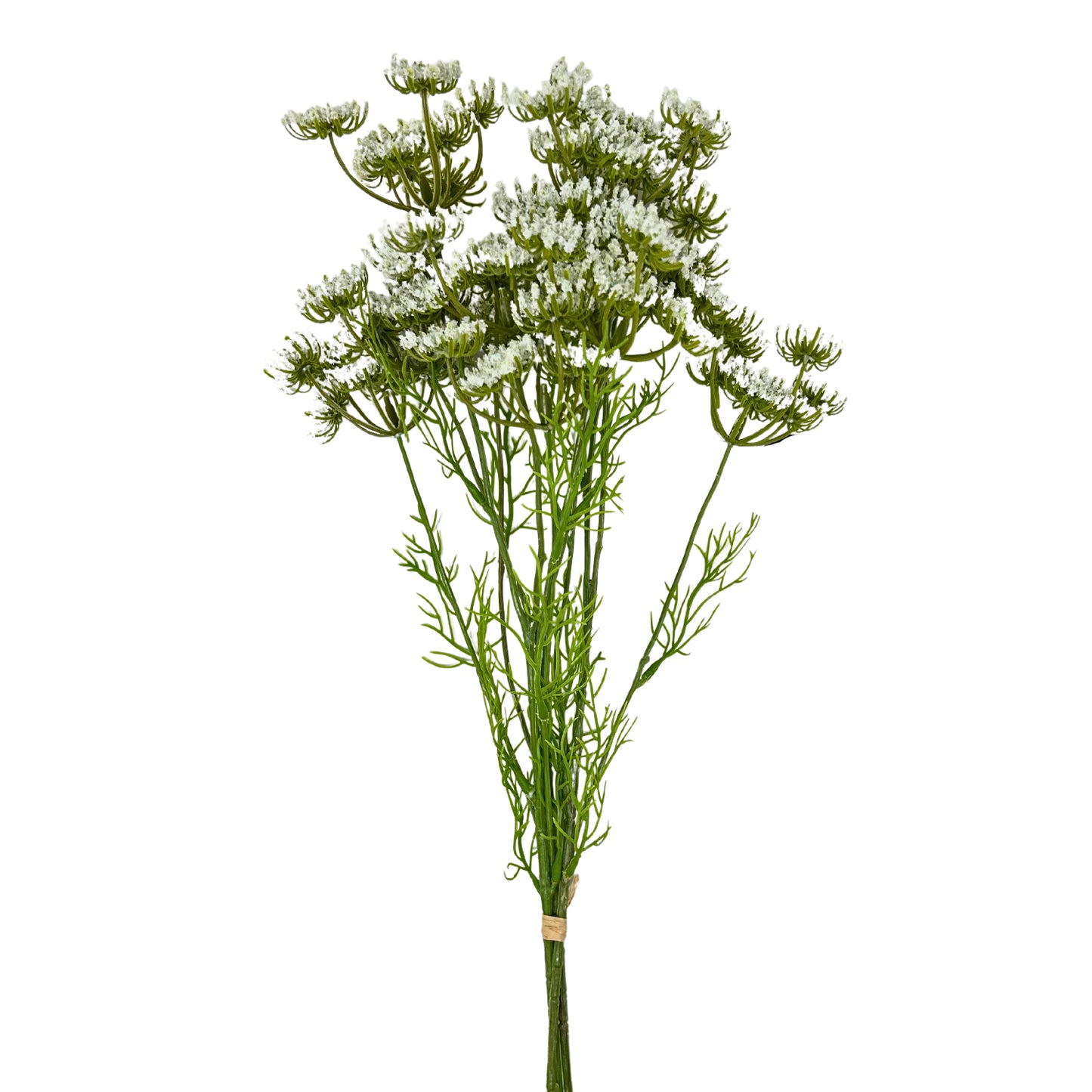 24” Queen Anne's Lace Bundle in White | XJE