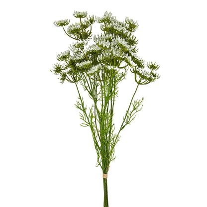 24” Queen Anne's Lace Bundle in White | XJE
