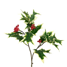 Load image into Gallery viewer, Cuttings Holly Berry Spray in Variegated 20&quot; | XJC22
