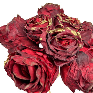 Faux Dried/ Gilded Rose Bundle x 6 in Red 9" | XJ