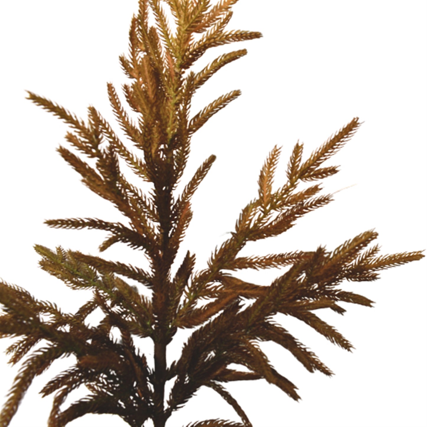 Faux Dried Norfolk Branch 37" | XJ