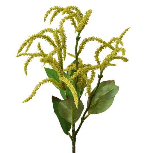 21" Budding Amaranthus Spray - Green