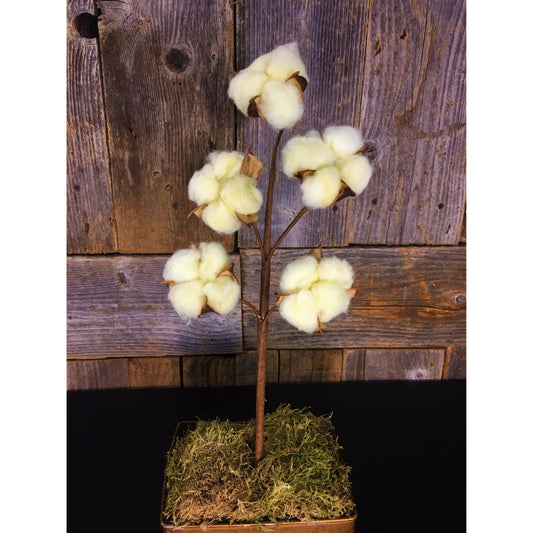 15" Cotton Pick in Yellow | QD