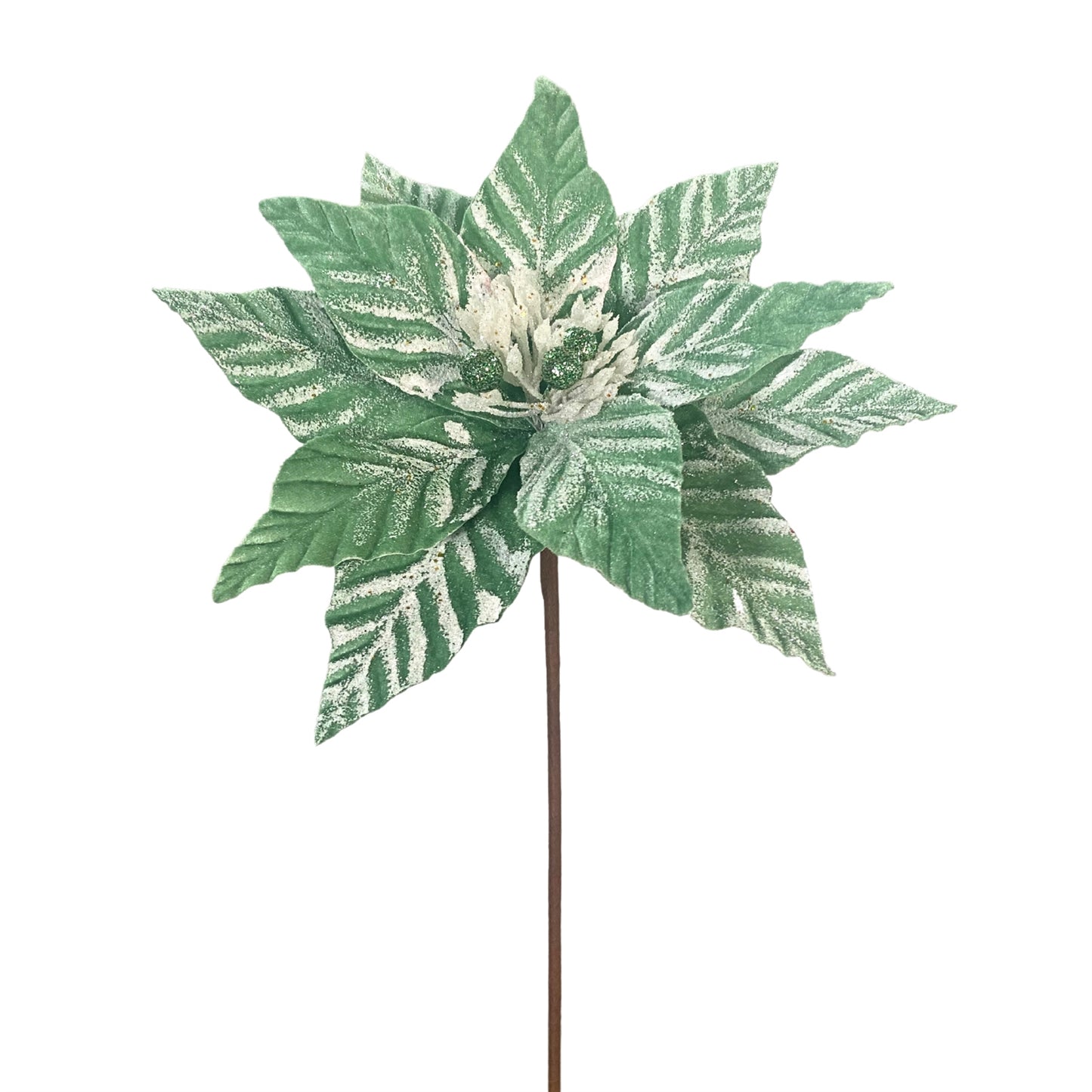 Touched by Snow Poinsettia 24" - Green/White | QG