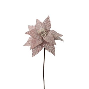 Touched by Snow Poinsettia 24" - Pink/White | QG