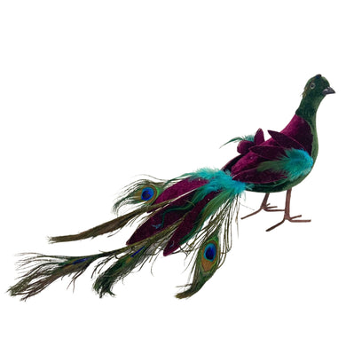 Green Eloquence Feather Peacock 7.5