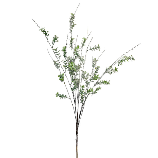 Frostbitten Twig Boxwood Spray 38”|TA