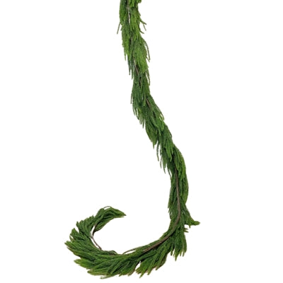 Real Touch Norfolk Pine Garland 108" | XJ