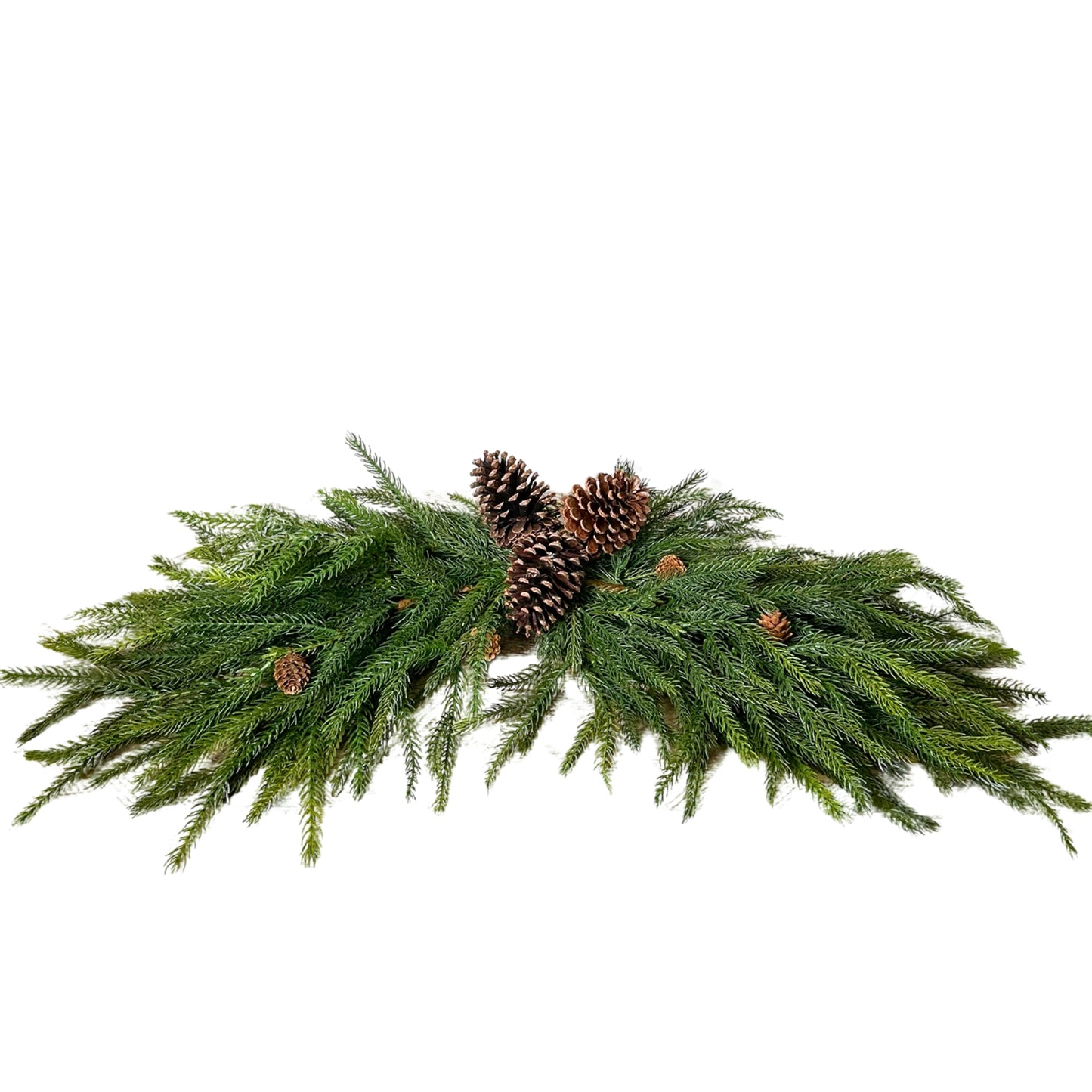 Pacific Norfolk Pine/Cone Swag 31.5'' | REGXJ