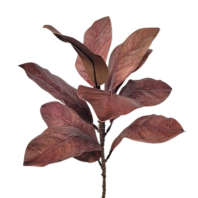 Eastern Light Brown Magnolia Leaf Spray 21.5” | XJ
