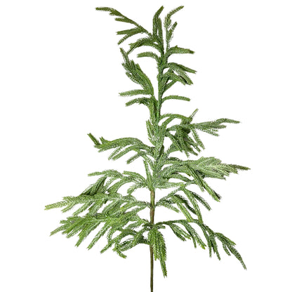 Eastern Norfolk Pine Spray 36” | XJ