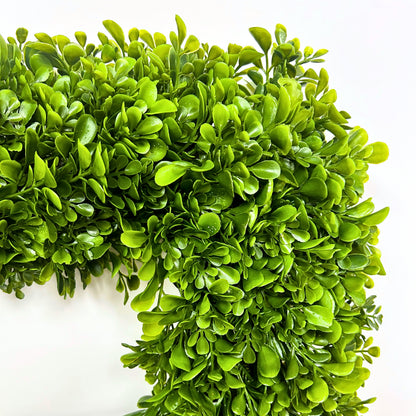 18" Plastic Square Boxwood Wreath