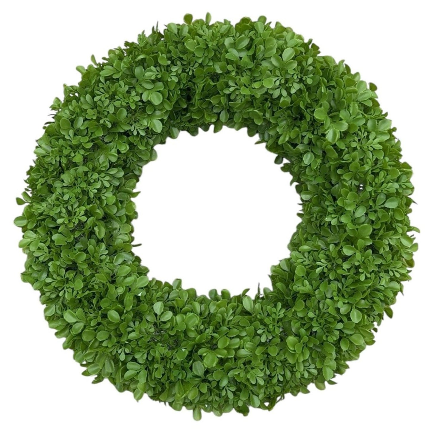 19" Plastic Boxwood Wreath | XJE