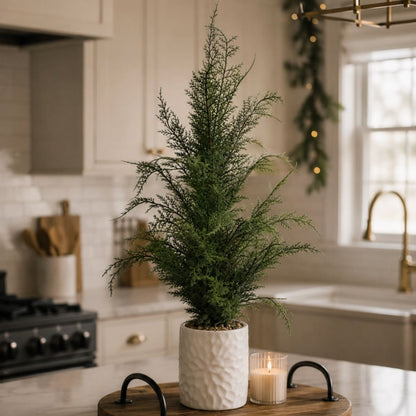 Real Touch Wild Cypress Potted Tree 27" | XJ