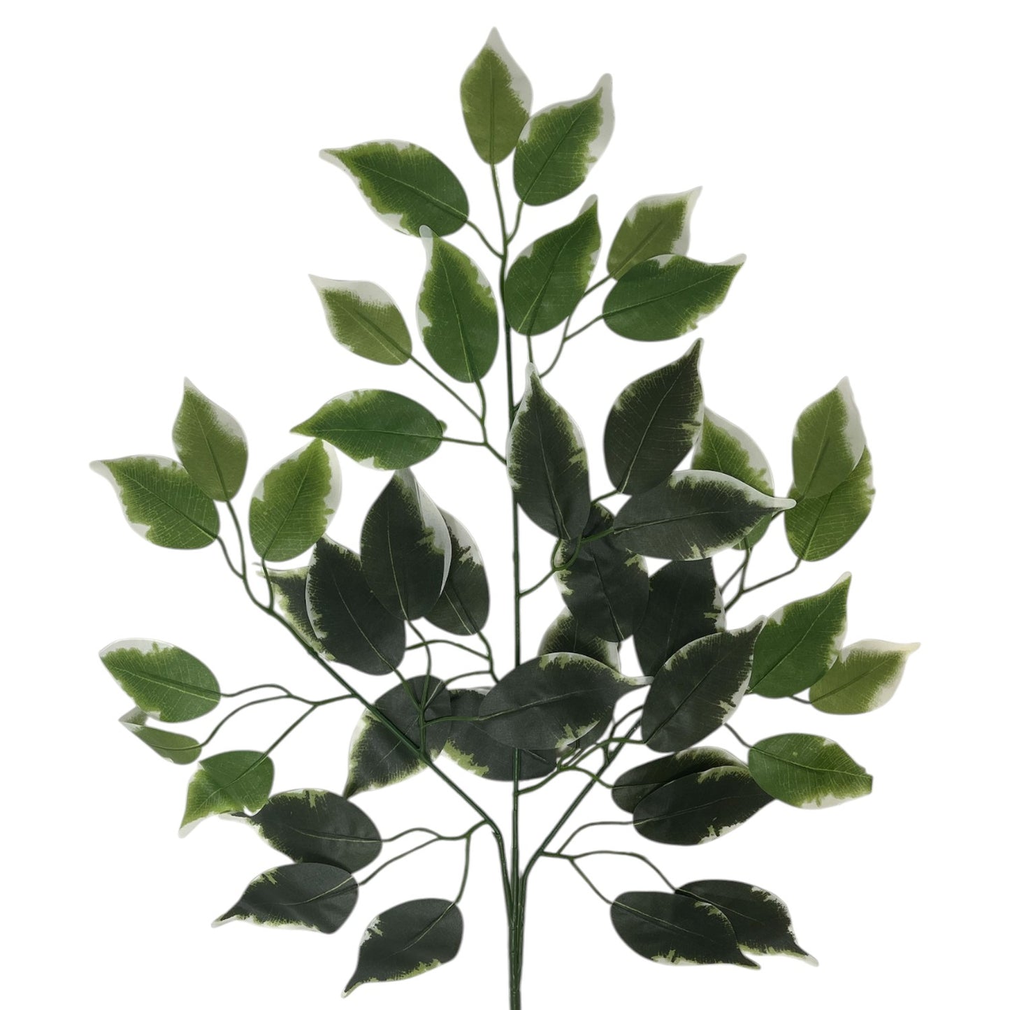 Silk Ficus Leaf Spray 23" - Variegated - BYE