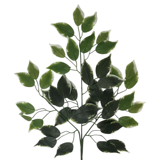 Silk Ficus Leaf Spray 23" - Variegated - BYE