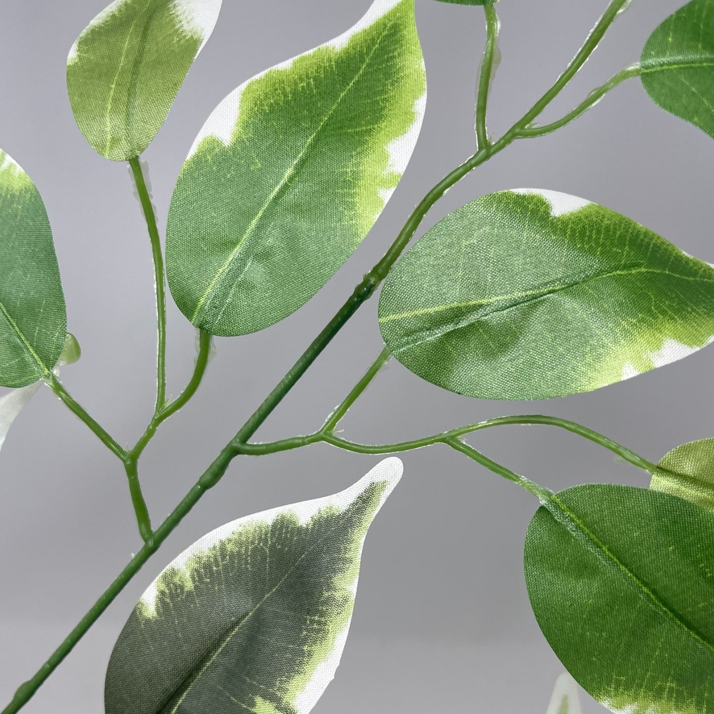 Silk Ficus Leaf Spray 23" - Variegated - BYE