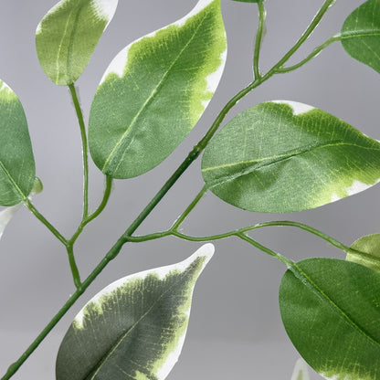 Silk Ficus Leaf Spray 23" - Variegated - BYE