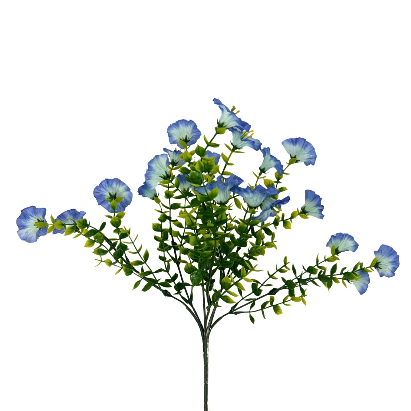 Mini Morning Glory Bunch 14" - Blue