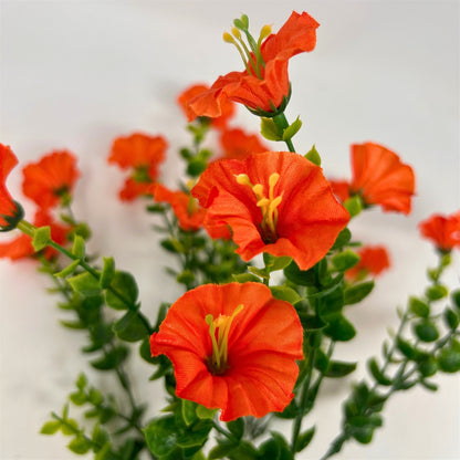 Mini Morning Glory Bunch 14" - Orange