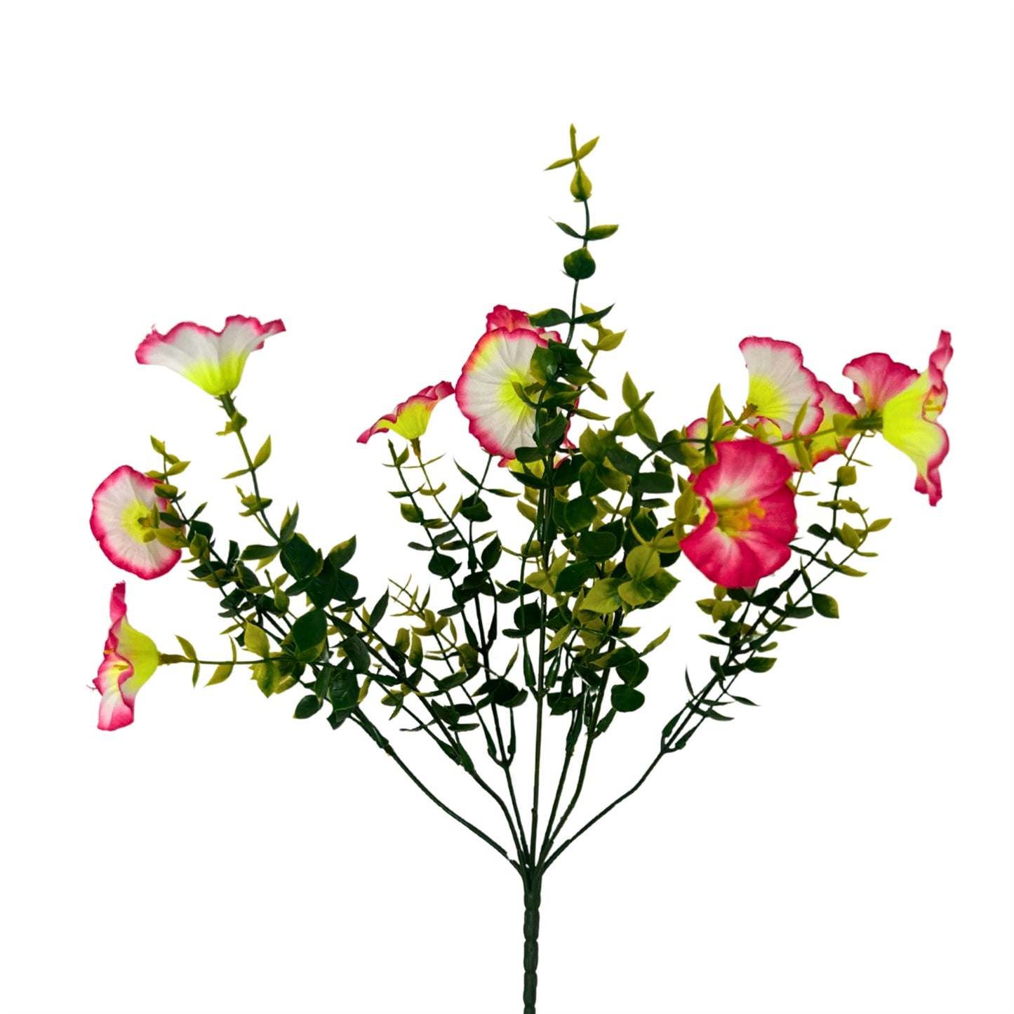 Mini Morning Glory Bunch 14" - Pink