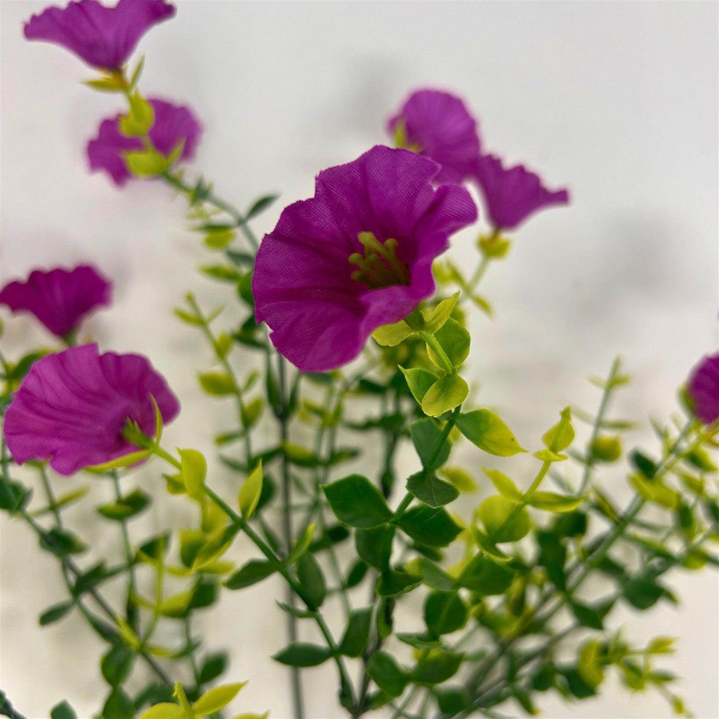 Mini Morning Glory Bunch 14" - Purple