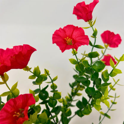 Mini Morning Glory Bunch 14" - Red