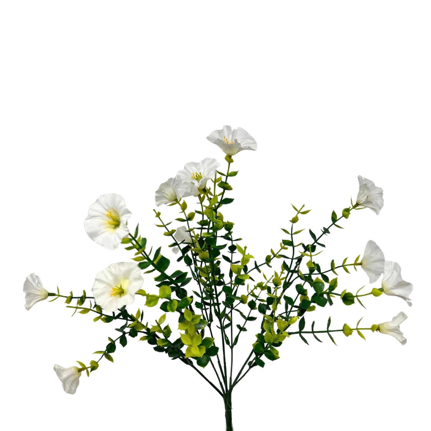 Mini Morning Glory Bunch 14" - White