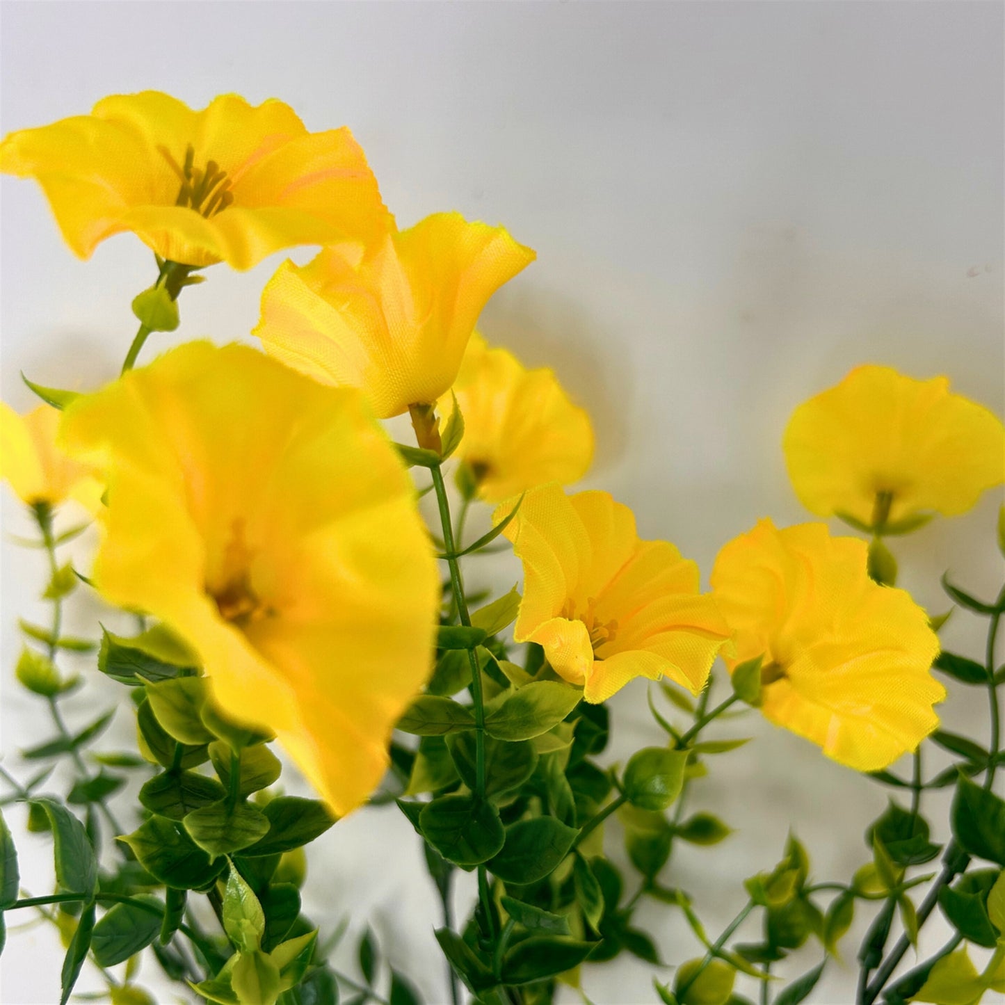 Mini Morning Glory Bunch 14" - Yellow