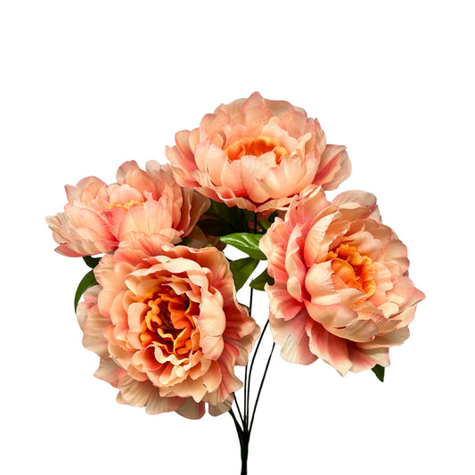 Large Peony Bush x7 - Coral 18" | CZE