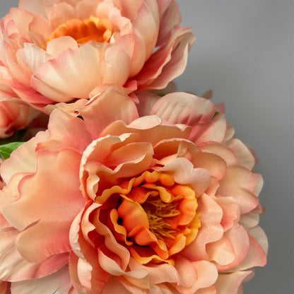 Large Peony Bush x7 - Coral 18" | CZE
