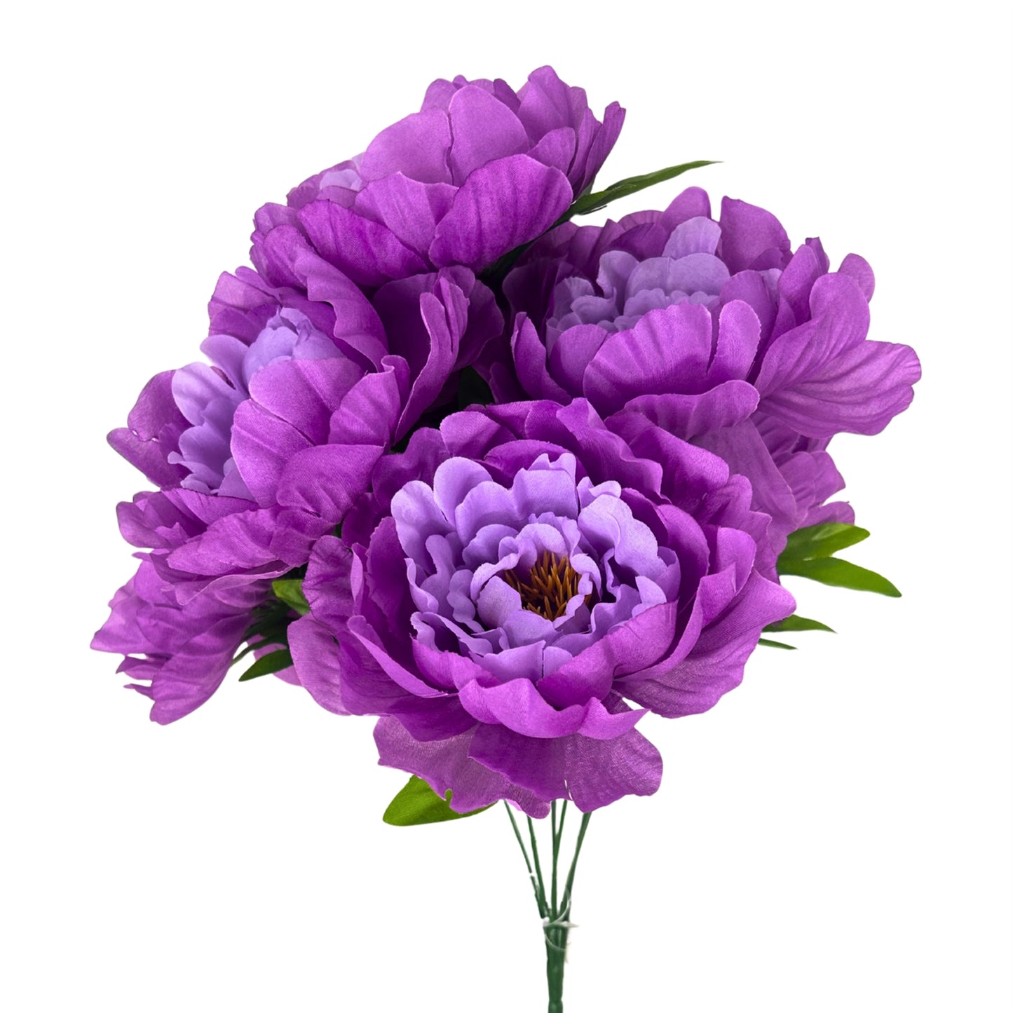Large Peony Bush x7 - Purple 18" | CZE