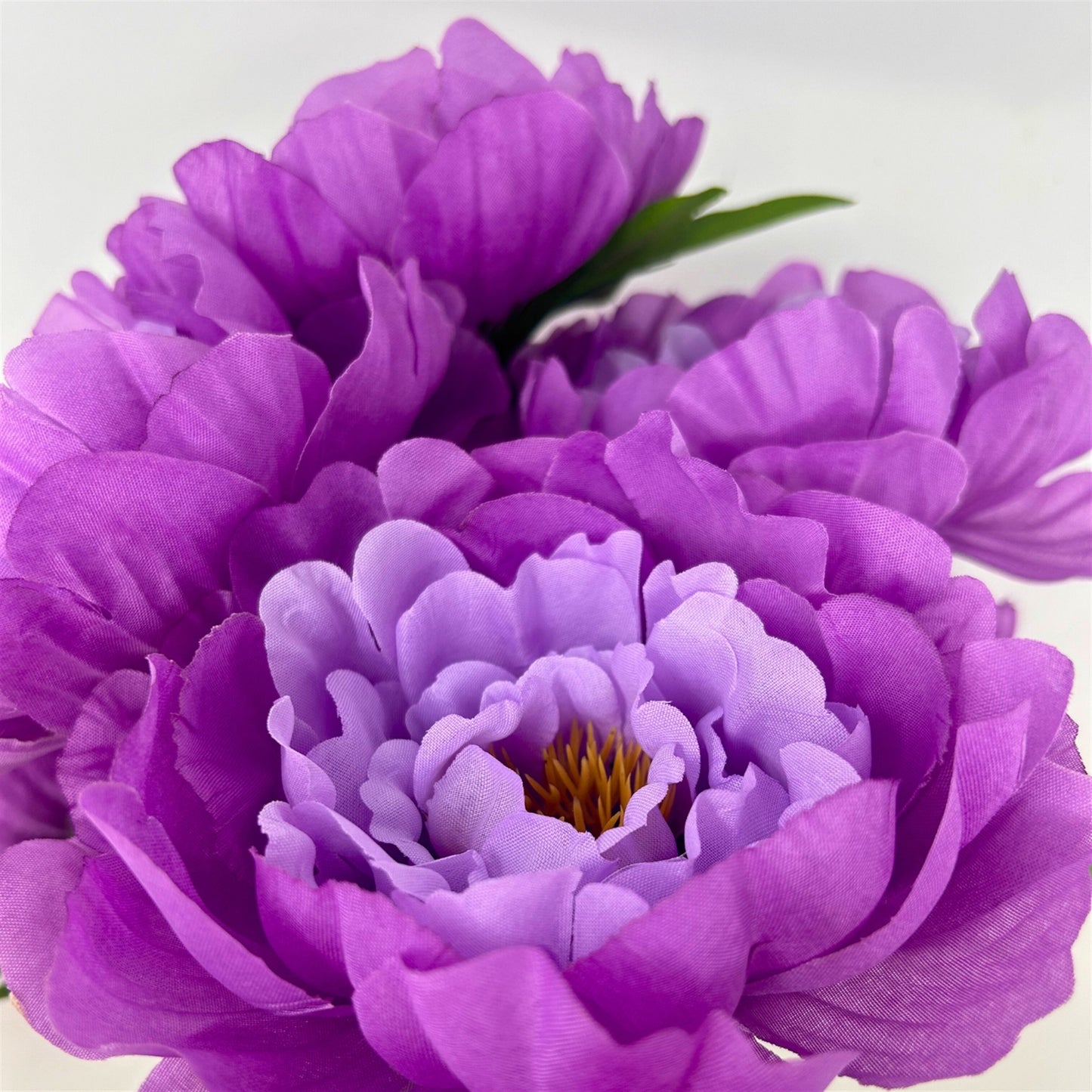 Large Peony Bush x7 - Purple 18" | CZE
