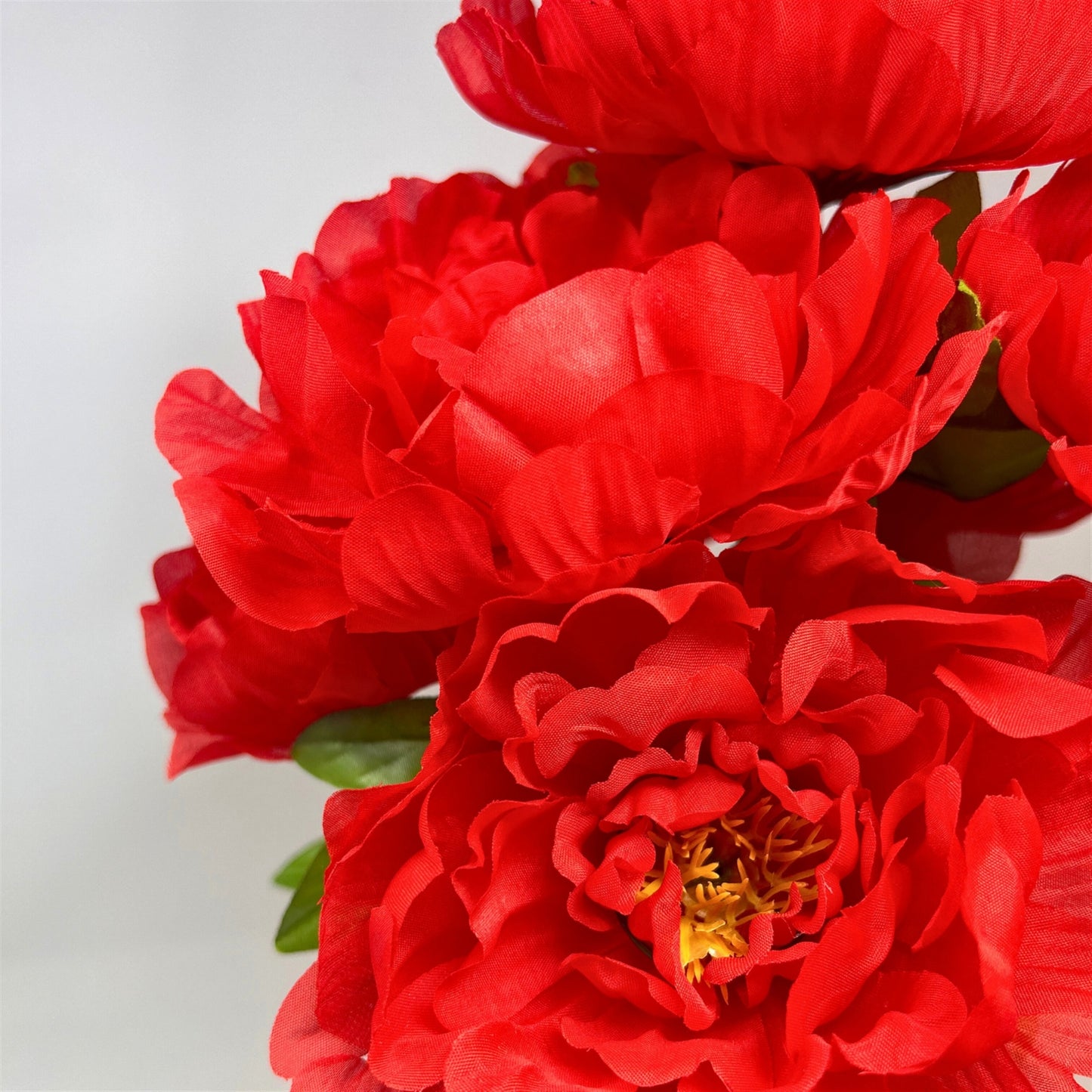 Large Peony Bush x7 - Red 18" | CZE