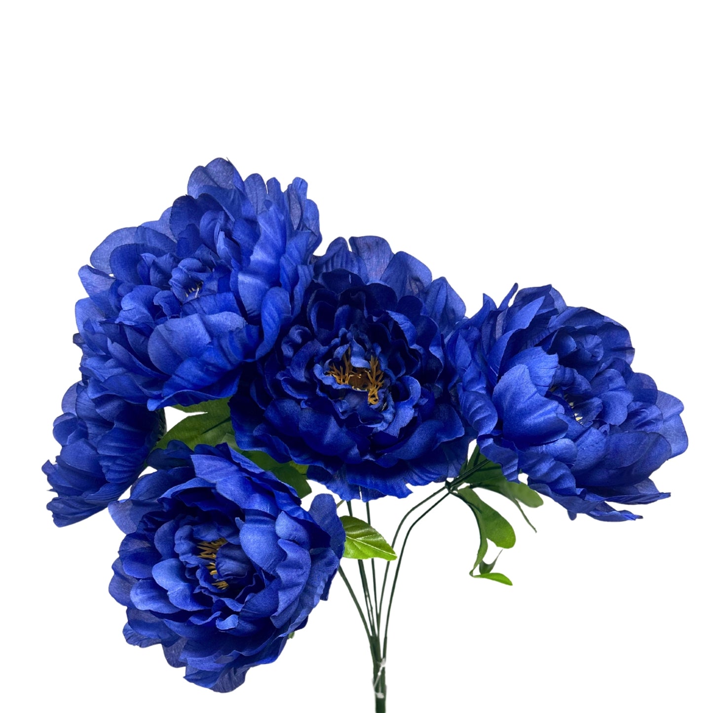 Large Peony Bush x7 - Royal Blue 18" | CZE