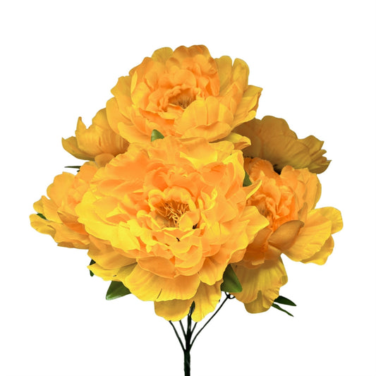 Large Peony Bush x7 - Spicy Yellow 18" | CZE