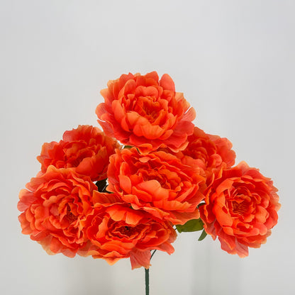 Large Peony Bush x7 - Spicy Yellow 18" | CZE