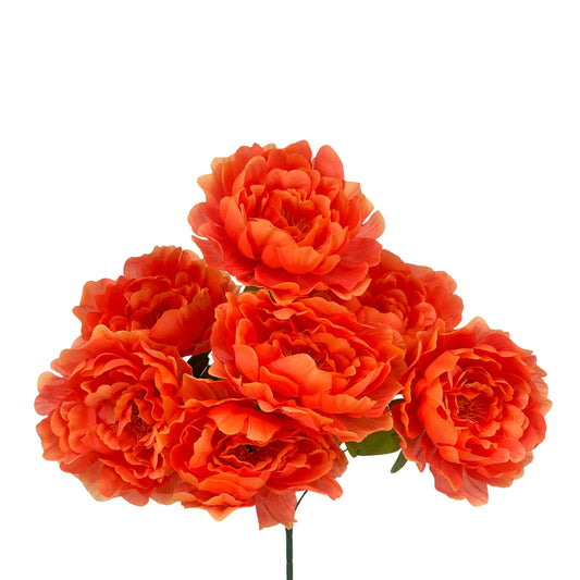 Large Peony Bush x7 - Spicy Yellow 18" | CZE