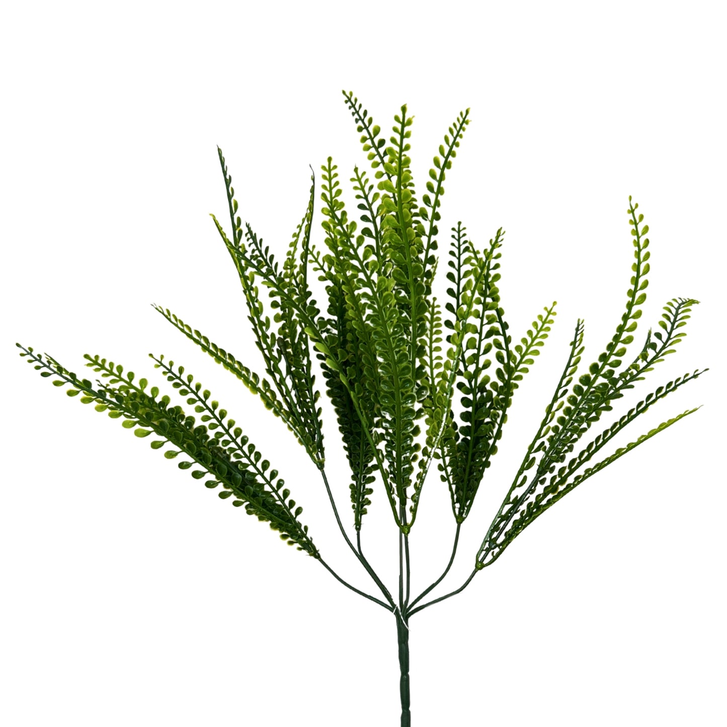 Button Leaf Grass Bush x7 - 18" | GTE