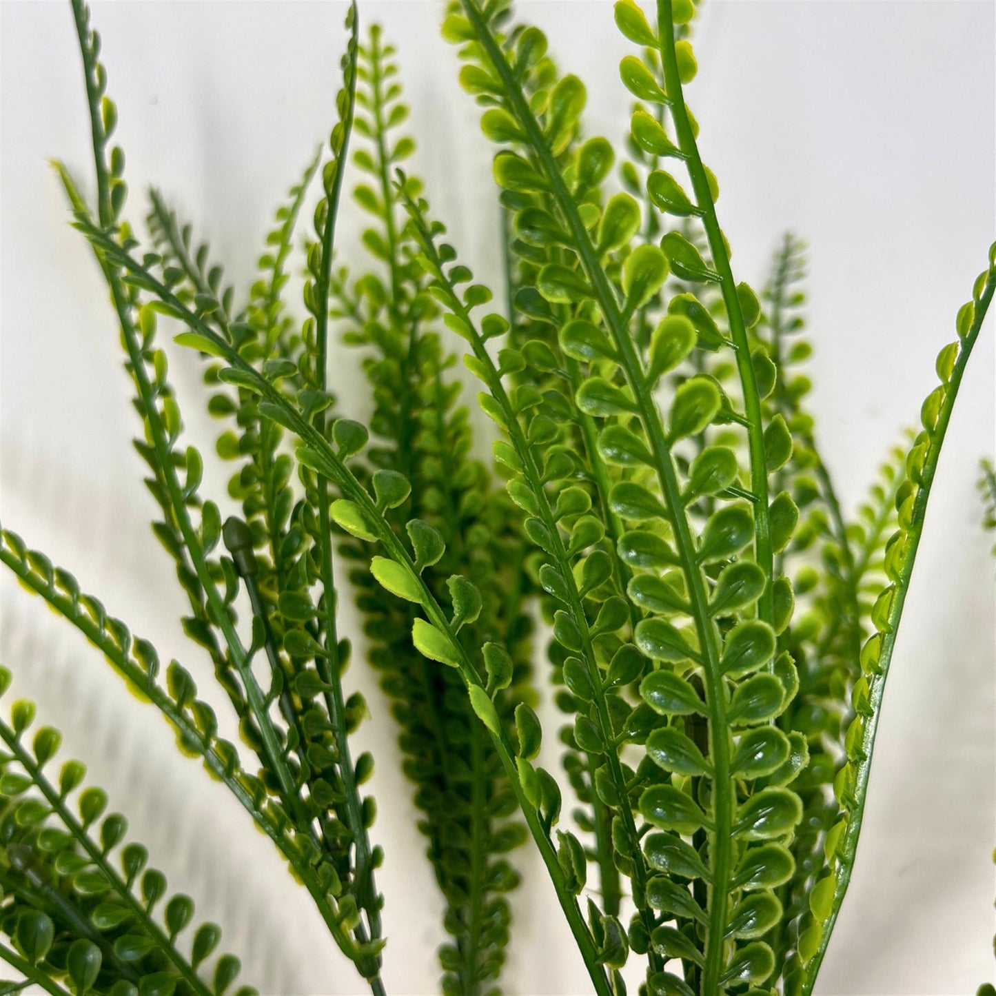 Button Leaf Grass Bush x7 - 18" | GTE