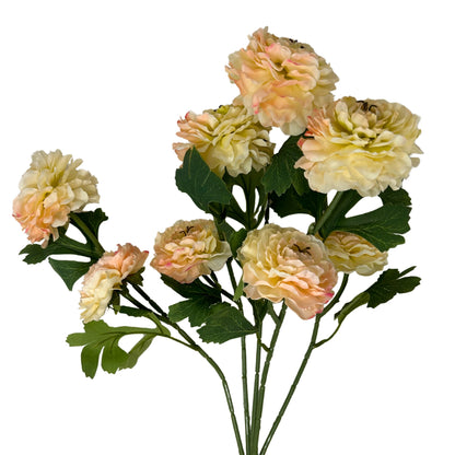 Ruffled Ranunculus Bush x9 - 21" Cream/Pink | GTE