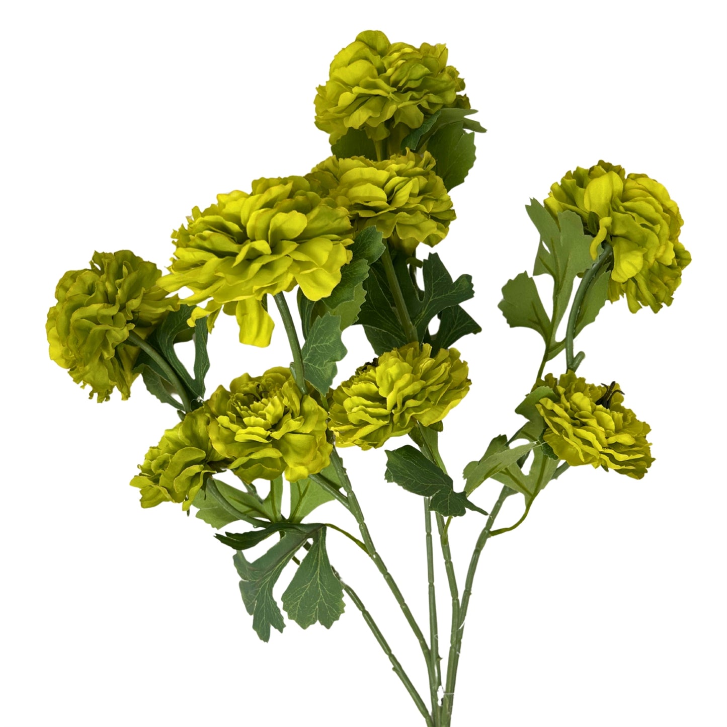 Ruffled Ranunculus Bush x9 - 21" Lime | GTE