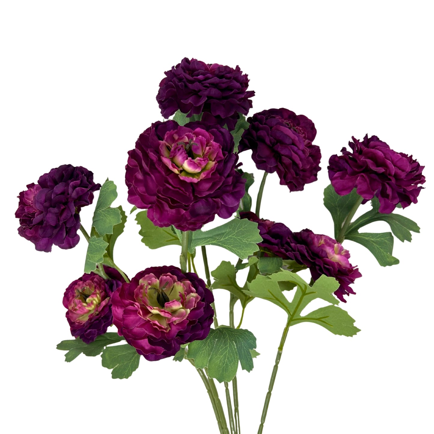 Ruffled Ranunculus Bush x9 - 21" Plum | GTE