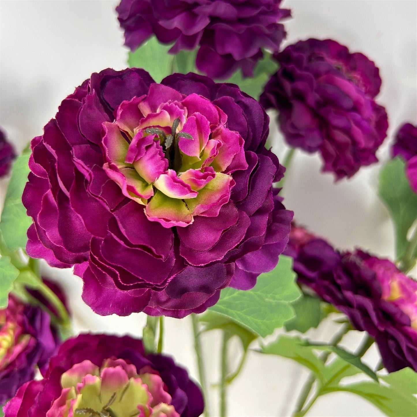 Ruffled Ranunculus Bush x9 - 21" Plum | GTE