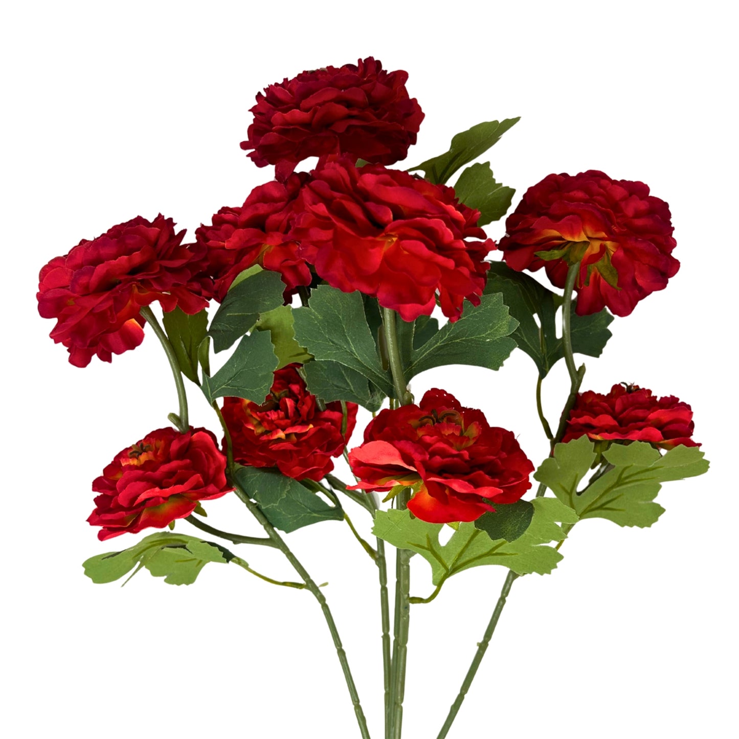 Ruffled Ranunculus Bush x9 - 21" Tomato Red | GTE