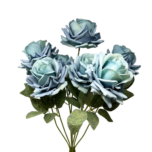 Heirloom Diamond Rose Bush x7 - 22" Aqua | GTE