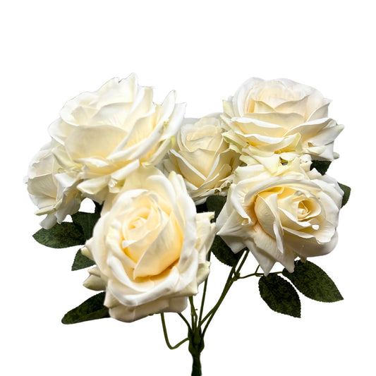 Heirloom Diamond Rose Bush x7 - 22" Cream | GTE