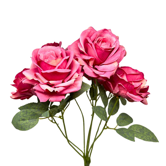 Heirloom Diamond Rose Bush x7 - 22" Hot Pink | GTE