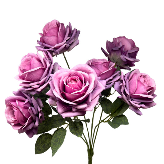 Heirloom Diamond Rose Bush x7 - 22" Lavender | GTE