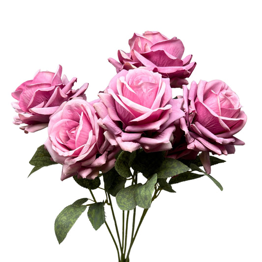 Heirloom Diamond Rose Bush x7 - 22" Lilac | GTE